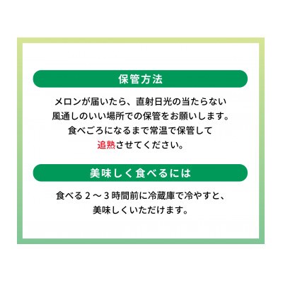 【2026年7月～順次発送】【シルバー】あっ晴れメロン