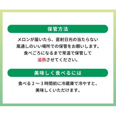 【2026年7月～順次発送】【ブロンズ】あっ晴れメロン