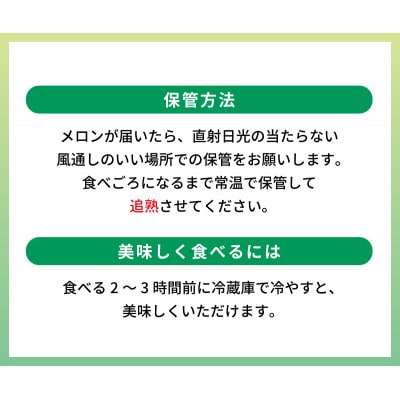 【2026年7月～順次発送】【ゴールド】あっ晴れメロン