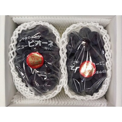 【2026年8月下旬以降発送】岡山県産　ニューピオーネ(1房600g以上)2房入り