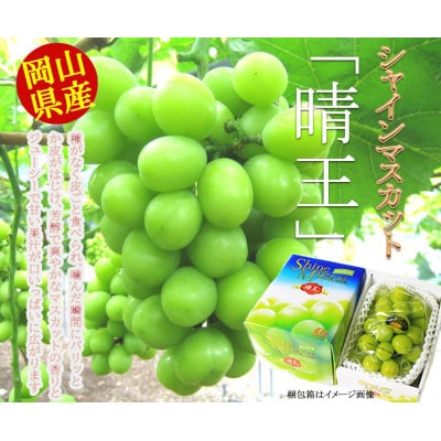 �y2026�N8�����{�ȍ~�����z���R���Y�@�V���C���}�X�J�b�g�u�����v(1�[700g�ȏ�)1�[����