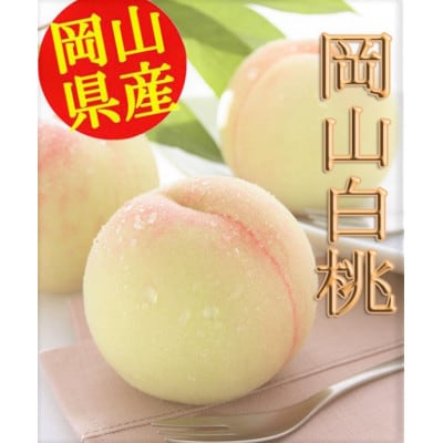 �y2026�N7����{�ȍ~�����z���R���Y�@����6��(��1.6kg�ȏ�)