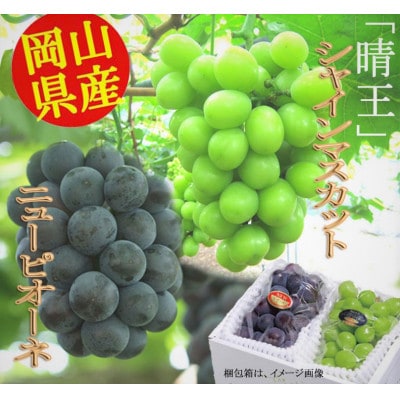 �y2026�N�����z�j���[�s�I�[�l1�[(480g�ȏ�)�@�V���C���}�X�J�b�g1�[(480g�ȏ�)�l����