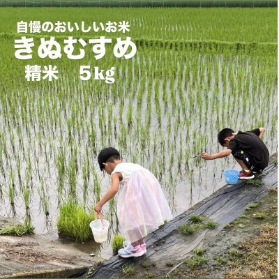 【令和7年産】岡山県産 きぬむすめ 精米 5kg(5kg×1袋)　