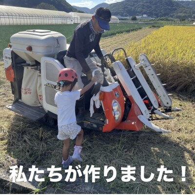 【令和7年産】岡山県産 きぬむすめ 精米 5kg(5kg×1袋)　