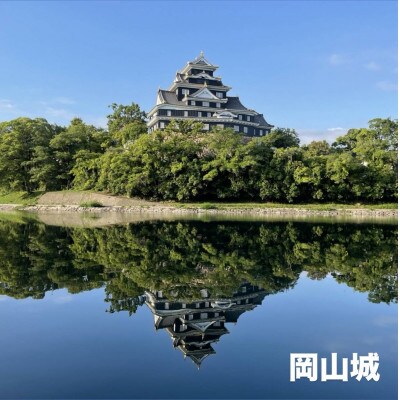 【令和7年産】岡山県産 きぬむすめ 精米 5kg(5kg×1袋)　