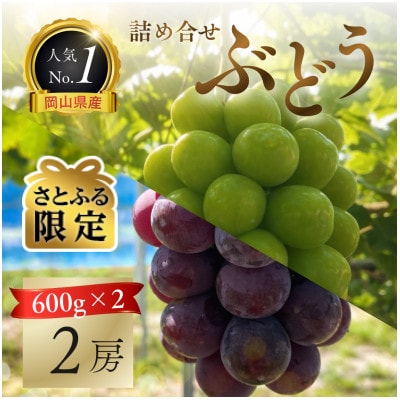 【さとふる限定・厳選品2房】岡山県産シャインマスカット・ピオーネ詰め合わせ