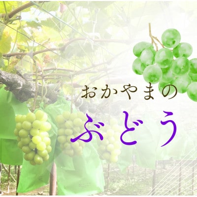 【食べきりサイズ】岡山県産シャインマスカット 400g×2パック(計800g)