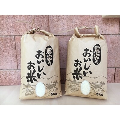 津奈木町のお米　ヒノヒカリ　精米10kg
