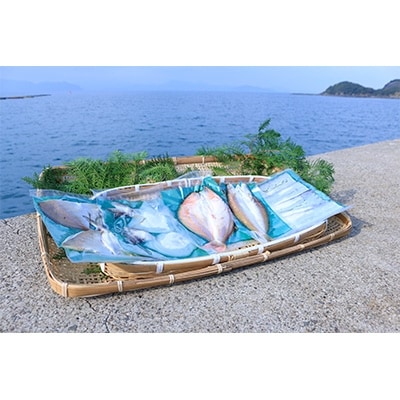 不知火海で捕れた平国丸の旬の鮮魚干し 冷凍5点おまかせセット