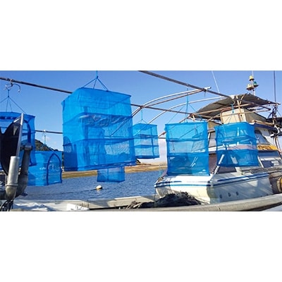 不知火海で捕れた平国丸の旬の鮮魚干し 冷凍5点おまかせセット