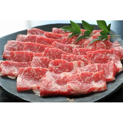 肥後の赤牛 焼肉用 500g(熊本県産和牛)【津奈木町】