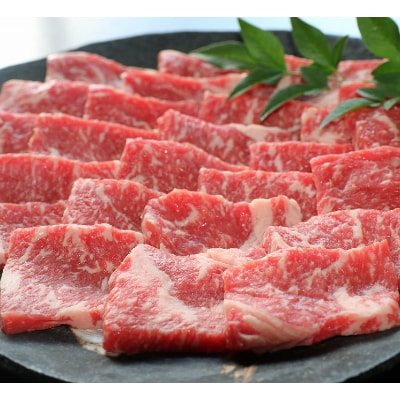 【GI認証】くまもとあか牛 焼肉用500g(津奈木町)