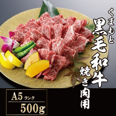 【A5ランク】くまもと黒毛和牛 焼肉用500g(津奈木町)