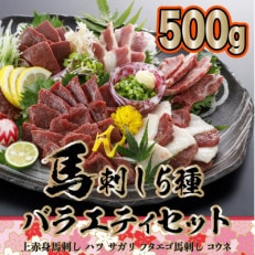 馬刺し5種バラエティーセット500g(津奈木町)