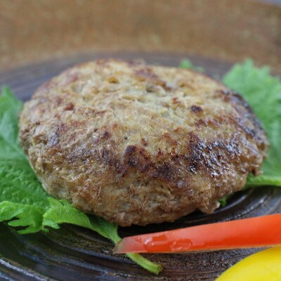 【毎月定期便】馬肉ハンバーグ　150g×10個(津奈木町)全6回