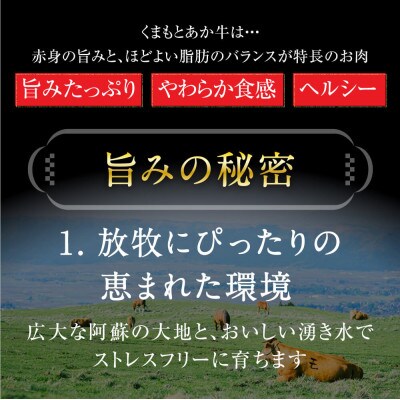 くまもとあか牛ハンバーグ150g×10個 熊本県津奈木町