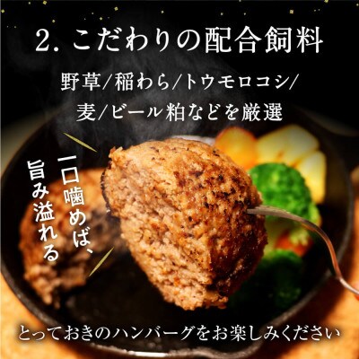 くまもとあか牛ハンバーグ150g×10個 熊本県津奈木町