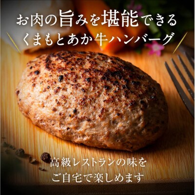 くまもとあか牛ハンバーグ150g×5個　熊本県津奈木町