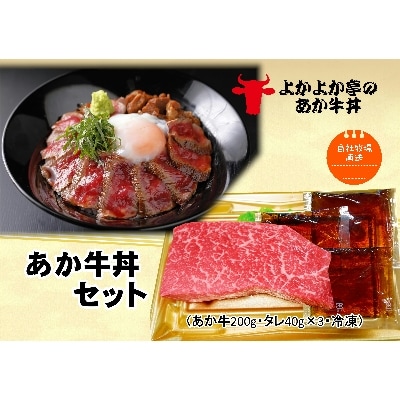 あか牛丼セット(津奈木町)