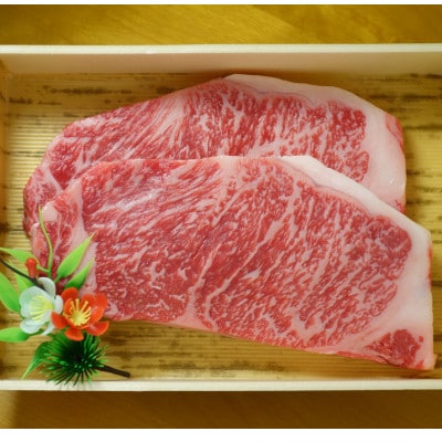 GI認証　くまもとあか牛サーロインステーキ　200g×2(津奈木町)