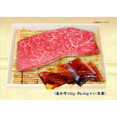 あか牛丼(2人前)セット(あか牛モモ200g、あか牛のたれ40g×3)(津奈木町)