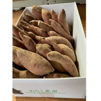 【先行受付】紅はるか5kg×1箱(2025年10月下旬頃から順次発送)《わらく農園》