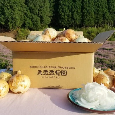 【先行受付】令和7年産　サラダたまねぎ5kg　(令和8年5月上旬頃から順次発送)　未来来農園