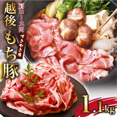 「肉厚でジューシー 越後もち豚肩ロース すきやき用1.1kg」
