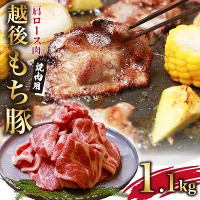 やわらかで肉厚 越後もち豚肩ロース 焼肉用1.1kg