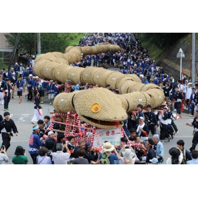 思い出花火 打ち上げ【鶴(6号)】(えちごせきかわ大したもん蛇まつり花火大会)