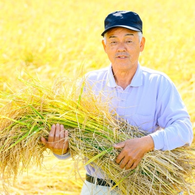 [先行予約] R7年産 秘境の地の砂金米 岩船産コシヒカリ精米6kg(2kg×3袋)
