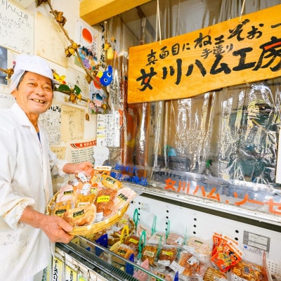 うれしい食べ比べ ソーセージ5種・プレスハムステーキセット[女川ハム工房]