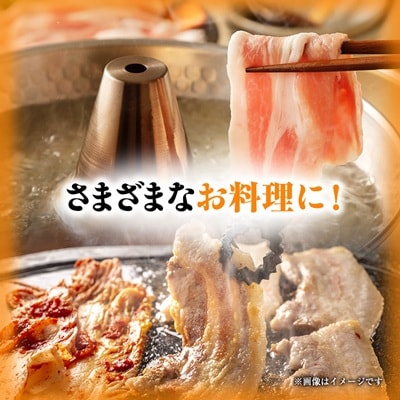 [小分けパックがうれしい] 越後もち豚肩ロース肉(しゃぶしゃぶ用) 合計900g