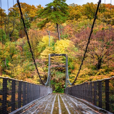 選ばれる温泉体験 18,000円分の温泉宿泊利用券