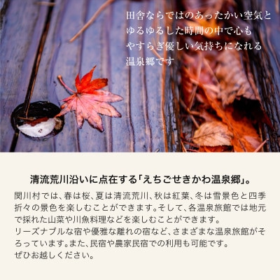 選ばれる温泉体験 90,000円分の温泉宿泊利用券