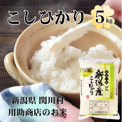 R8年産 土作りからこだわった岩船産コシヒカリ 精米5kg[用助商店]
