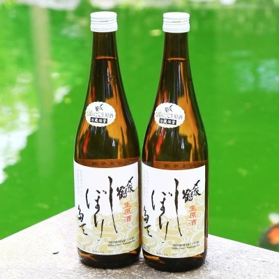 冬季限定 [11月末発送] 蔵出ししぼりたて 生原酒720ml×2本 関川の味