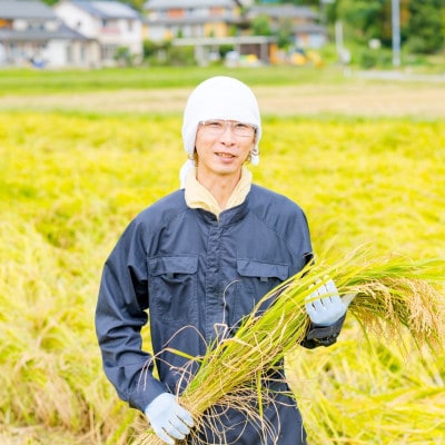 [先行予約] R7年産 関川村産コシヒカリ6kg(3kg×2) 丁寧に育てた贅沢米 [山口ファーム]