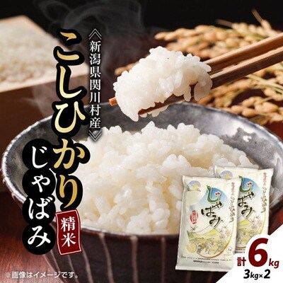 【先行予約】R8年産 関川村産コシヒカリ6kg(3kg×2)丁寧に育てた贅沢米精米 [山口ファーム]
