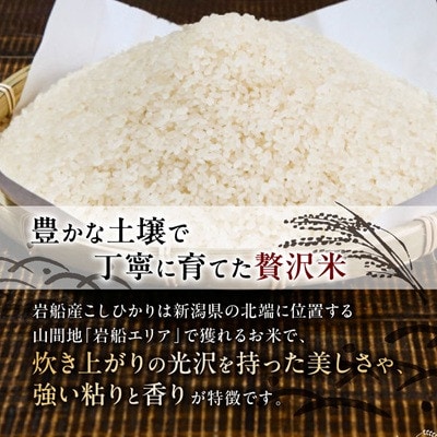 【毎月定期便】関川村産コシヒカリ精米5kg 丁寧に育てた贅沢米 [山口ファーム]全3回