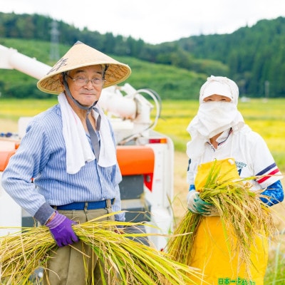 R7年産 関川村産こしひかり 精米6kg(2kg×3袋) ふっくら美味しさ 岩船米 [横山農産]