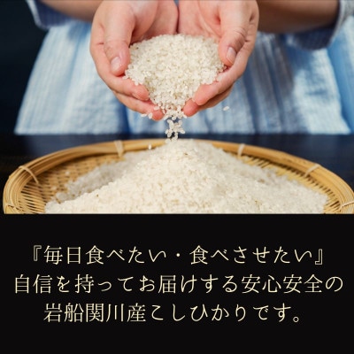 R7年産 関川村産こしひかり 精米6kg(2kg×3袋) ふっくら美味しさ 岩船米 [横山農産]