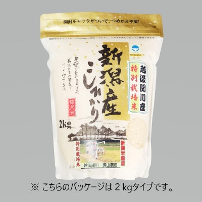 R7年産 関川村産こしひかり 精米6kg(2kg×3袋) ふっくら美味しさ 岩船米 [横山農産]