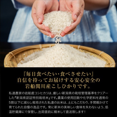 【毎月定期便】関川村産こしひかり5kg ふっくら美味しさ 岩船米 [横山農産]全12回