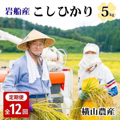 【毎月定期便】関川村産こしひかり5kg ふっくら美味しさ 岩船米 [横山農産]全12回