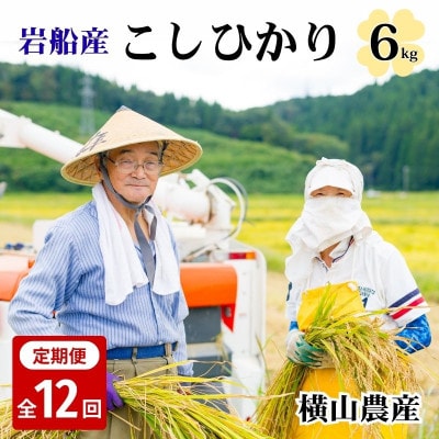 【毎月定期便】関川村産こしひかり6kg(2kg×3袋)ふっくら美味しさ 岩船米 [横山農産]全12回