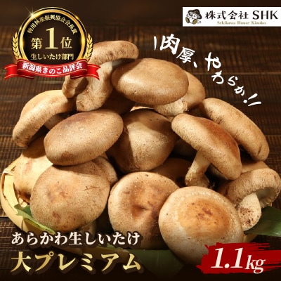 肉厚、やわらか!あらかわ生しいたけ大プレミアム