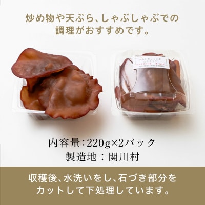 あらかわプレミアムジャンボ生キクラゲ220g×2パック