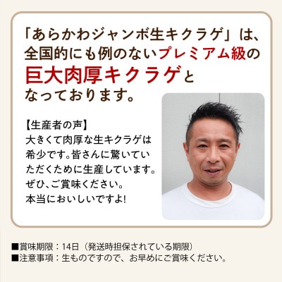 あらかわプレミアムジャンボ生キクラゲ220g×2パック